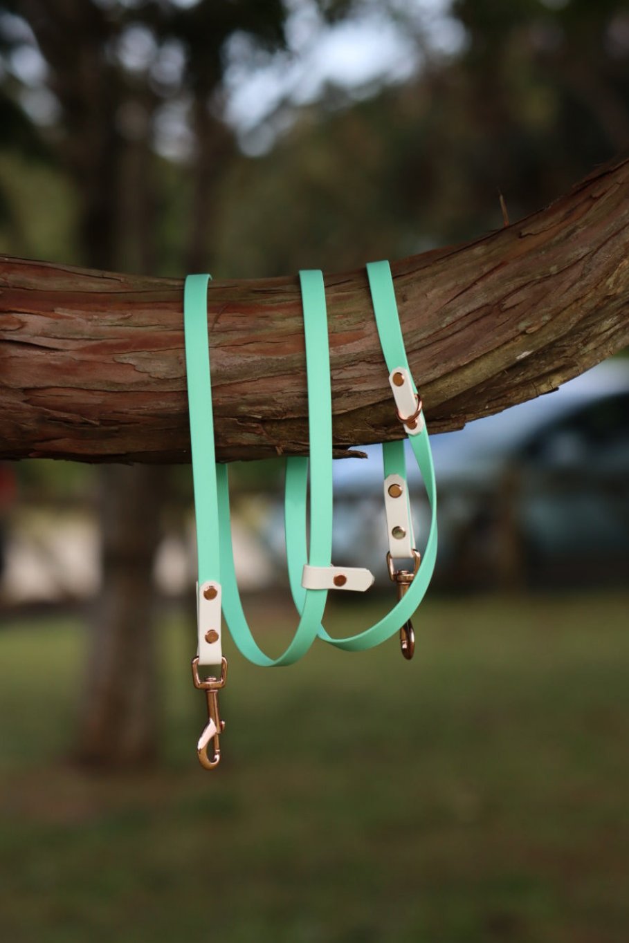 ALOHA KIWI Shoulder Leash