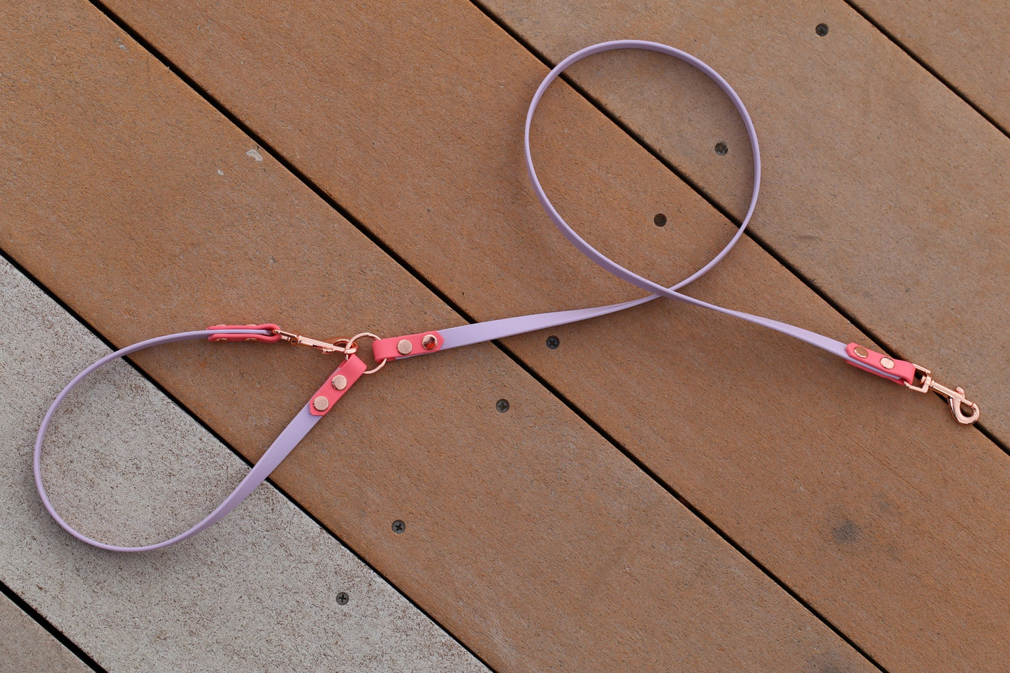 PARIS  Cafe Leash