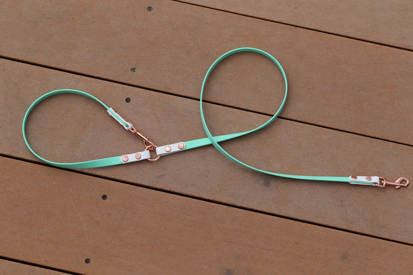 ALOHA KIWI  Cafe Leash