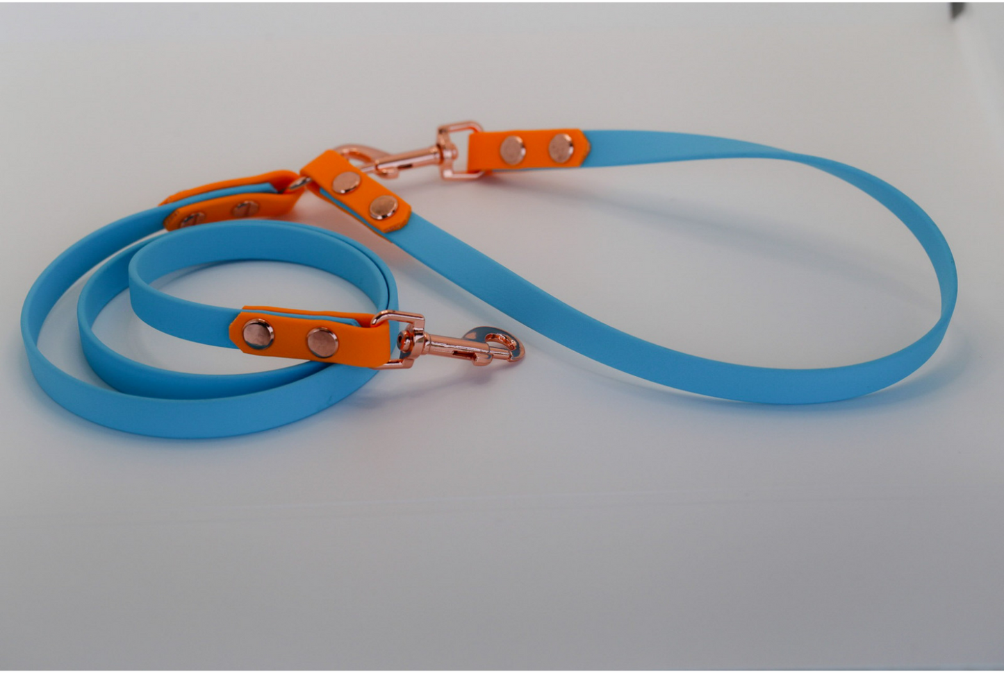 PASTEL SKIES Cafe Leash