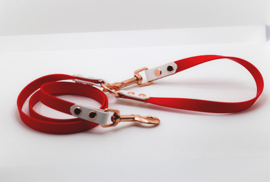 “Ruby”×“Plumeria”Cafe Leash
