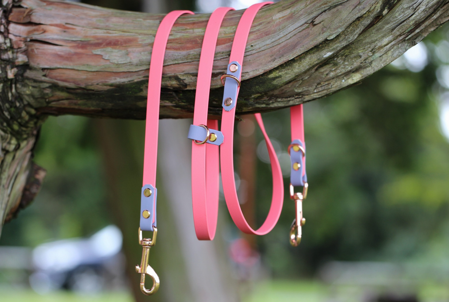 FAIRYTALE  Shoulder Leash