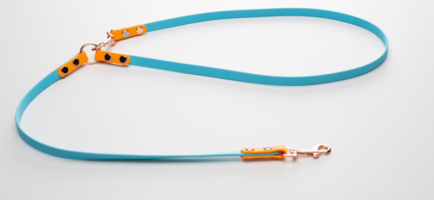 PASTEL SKIES Cafe Leash