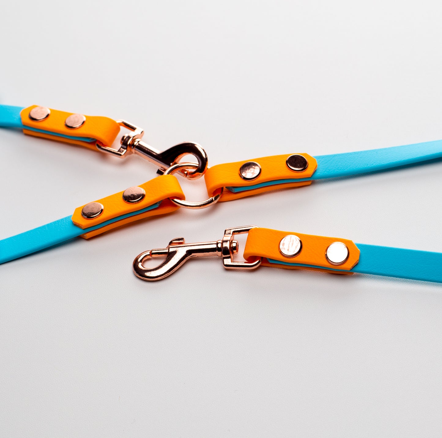 PASTEL SKIES Cafe Leash