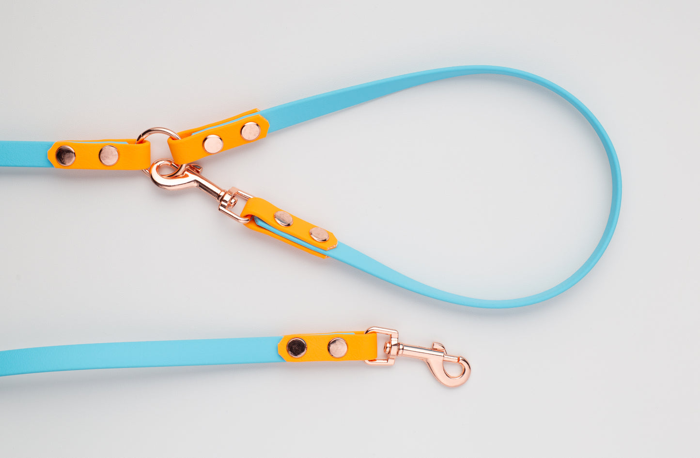 PASTEL SKIES Cafe Leash