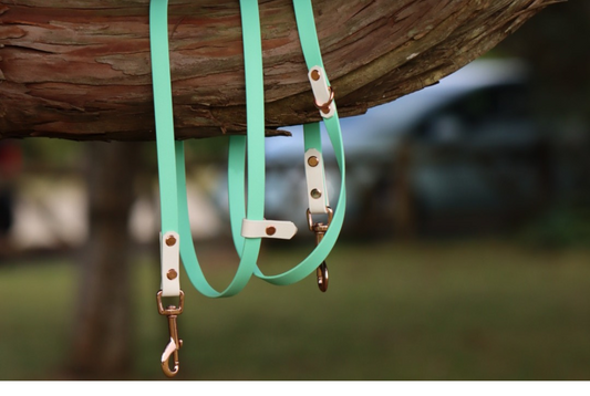 ALOHA KIWI Shoulder Leash